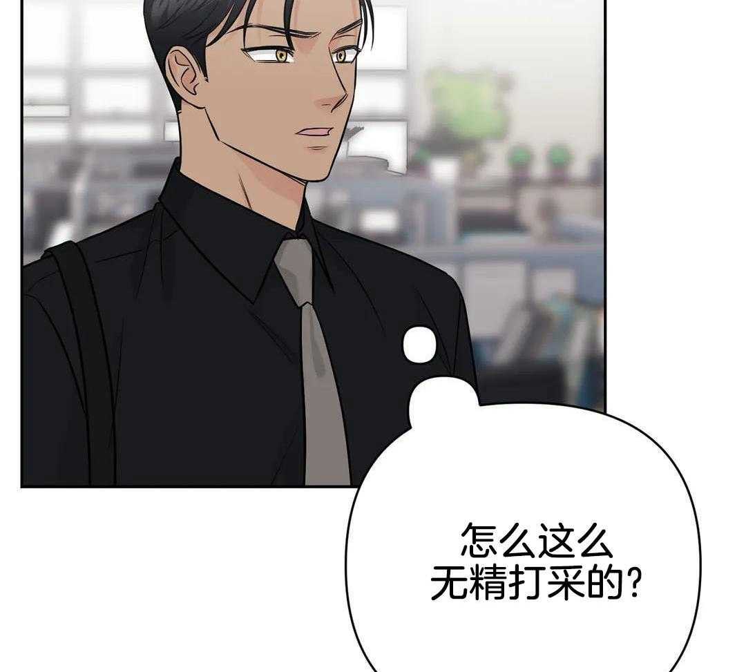 猫猫上司认定我（共2季） 第43话 第27页