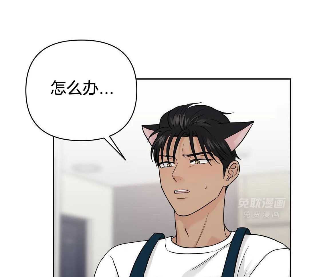 猫猫上司认定我（共2季） 第45话 第18页