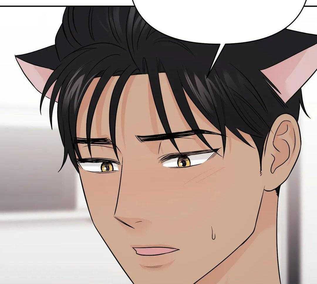 猫猫上司认定我（共2季） 第45话 第20页