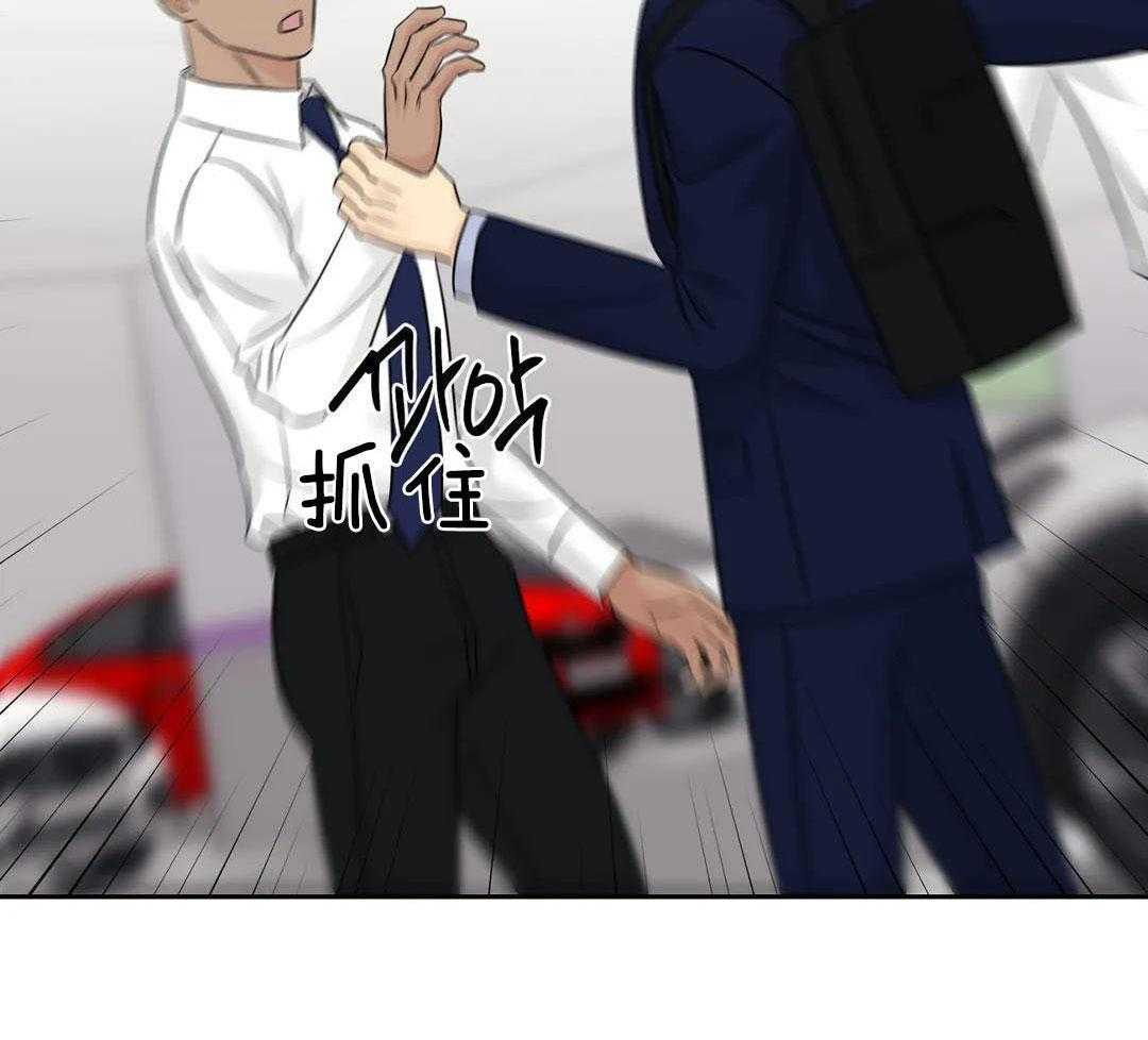 猫猫上司认定我（共2季） 第47话 第36页