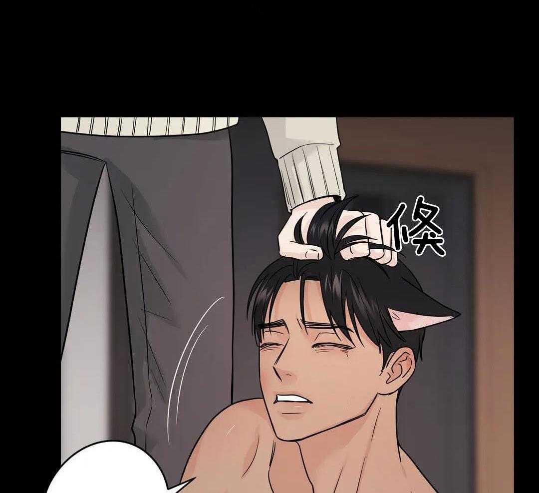 猫猫上司认定我（共2季） 第49话 第5页