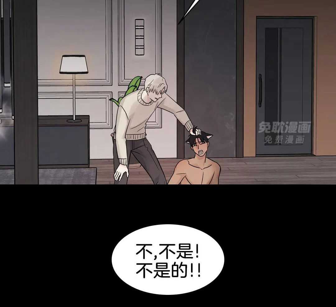 猫猫上司认定我（共2季） 第49话 第10页