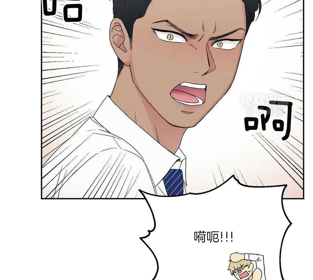 猫猫上司认定我（共2季） 第5话 第19页