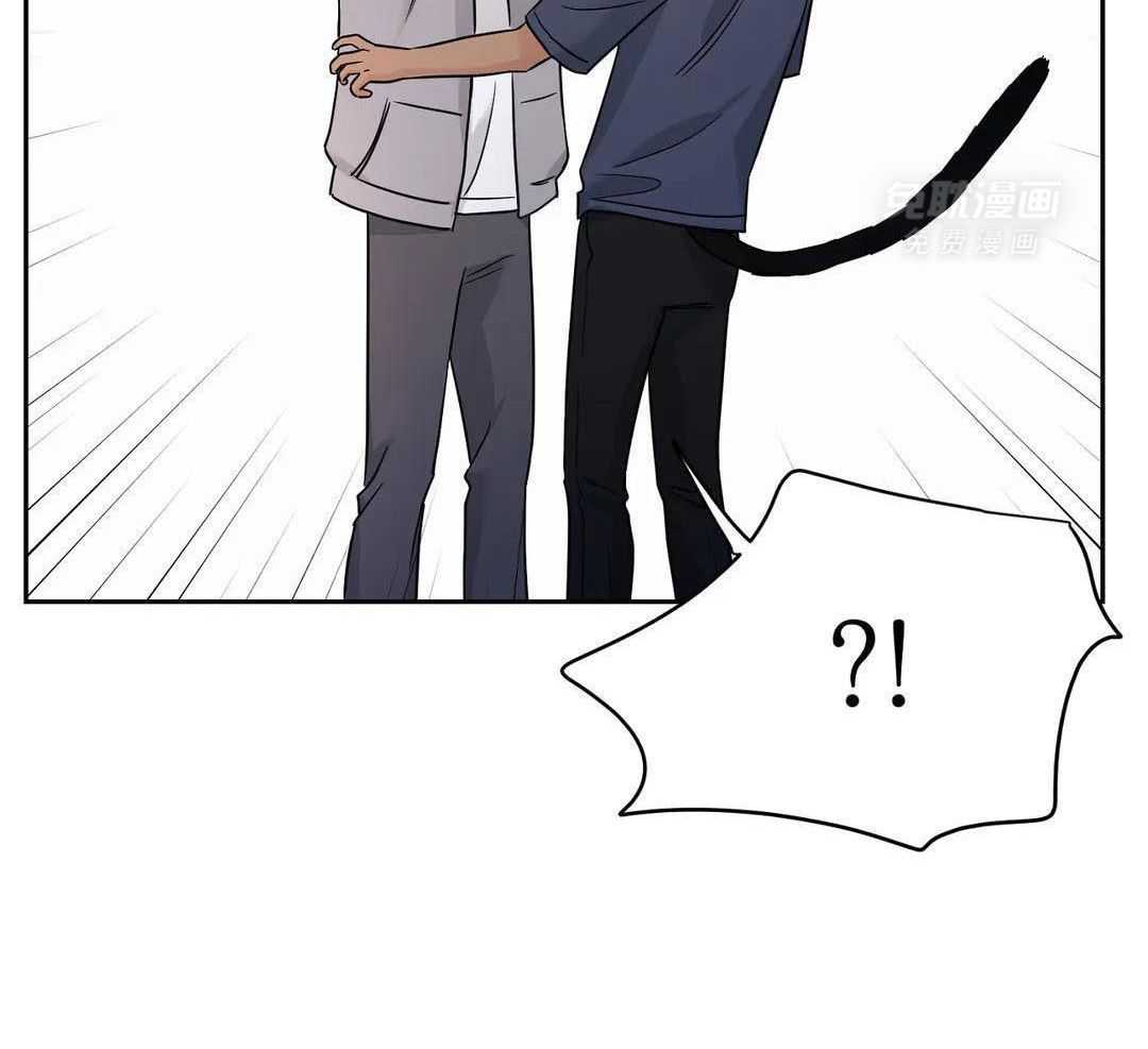 猫猫上司认定我（共2季） 第51话 第2页