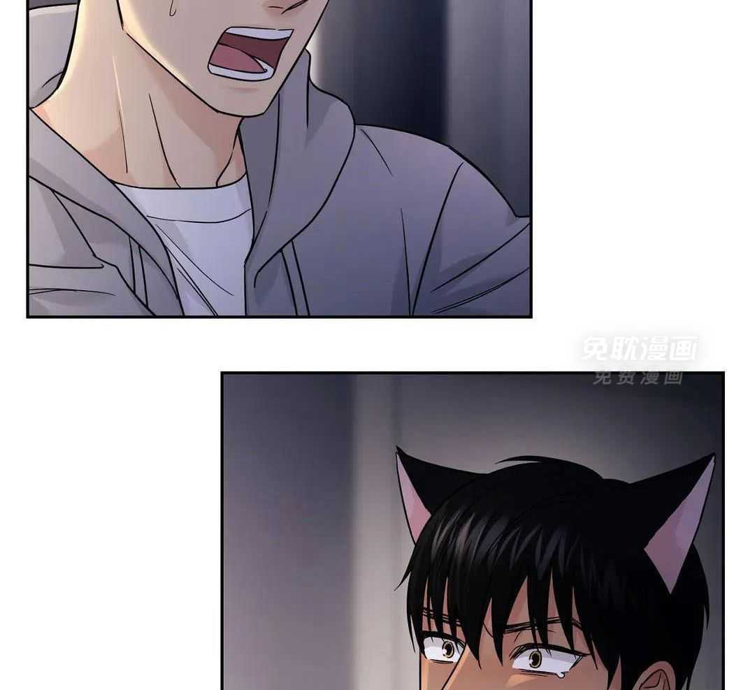 猫猫上司认定我（共2季） 第51话 第4页