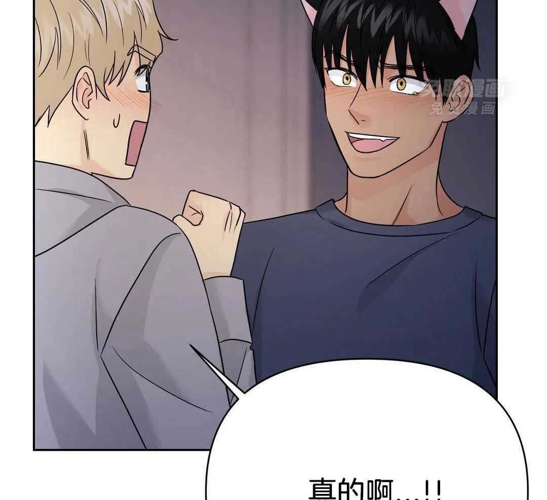 猫猫上司认定我（共2季） 第51话 第14页