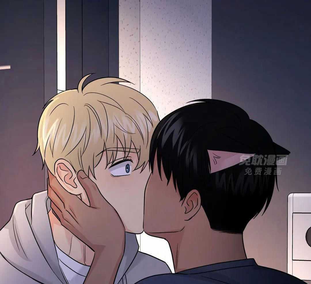 猫猫上司认定我（共2季） 第51话 第19页