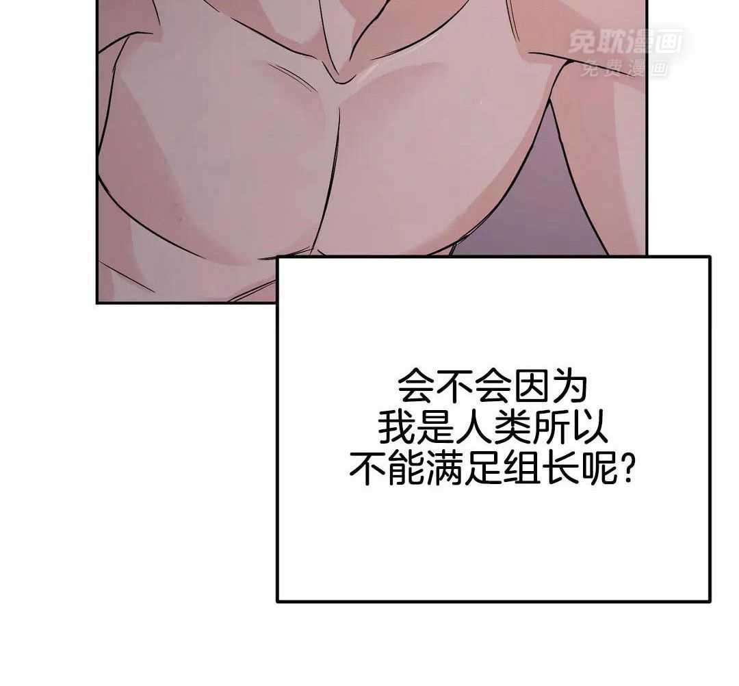 猫猫上司认定我（共2季） 第51话 第28页