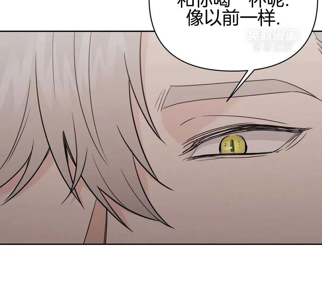 猫猫上司认定我（共2季） 第51话 第56页