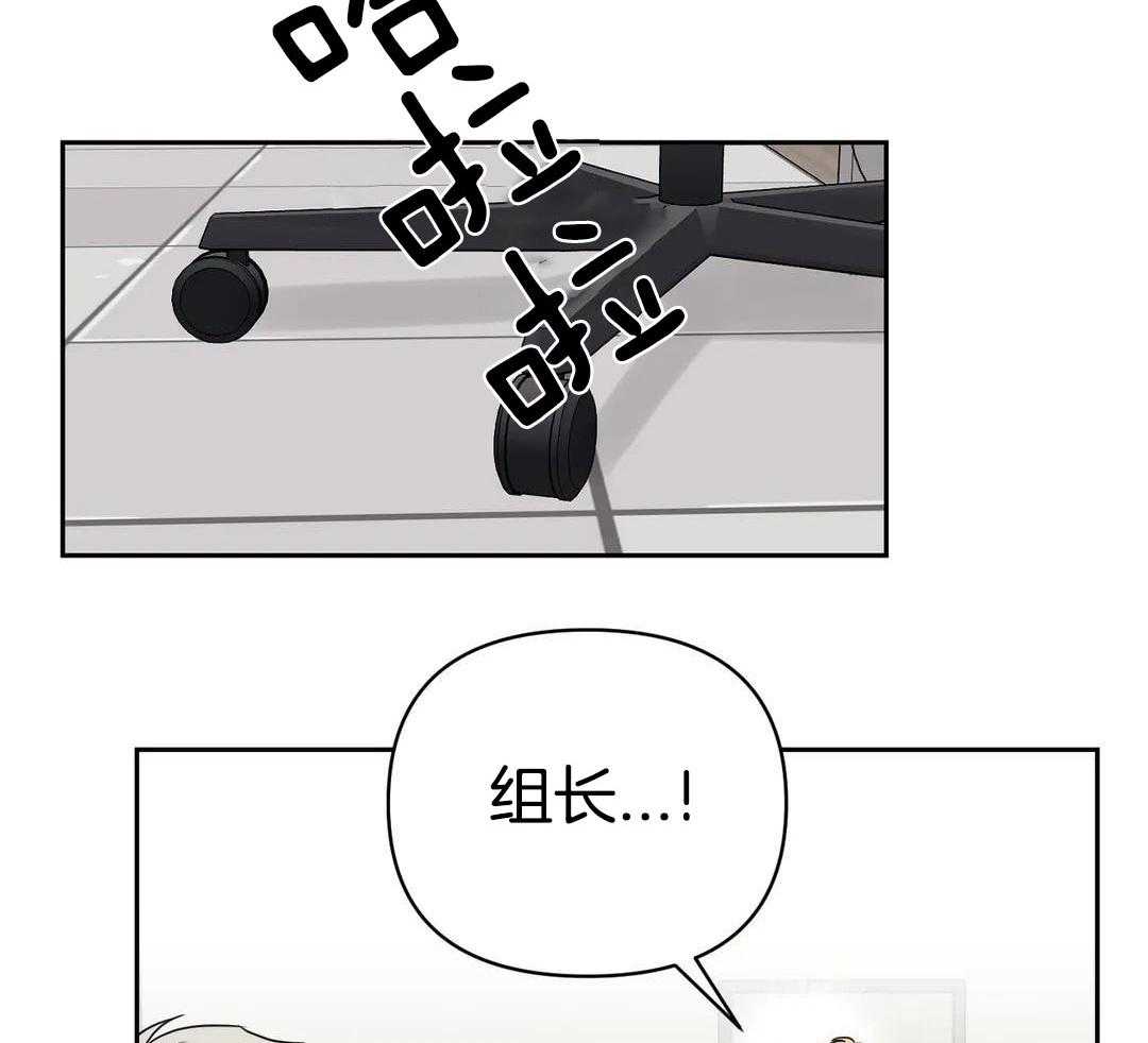 猫猫上司认定我（共2季） 第52话 第1页