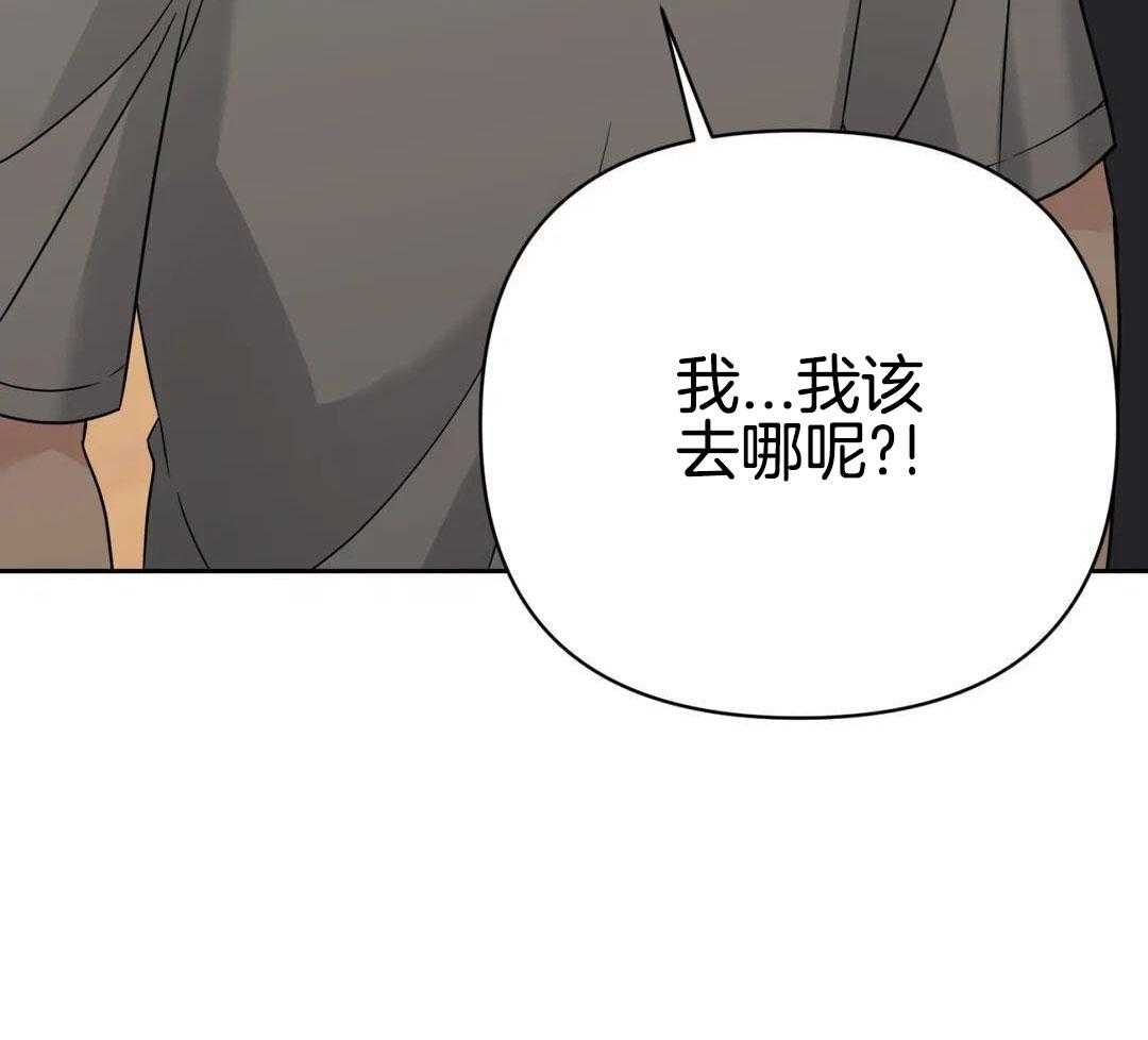 猫猫上司认定我（共2季） 第53话 第53页