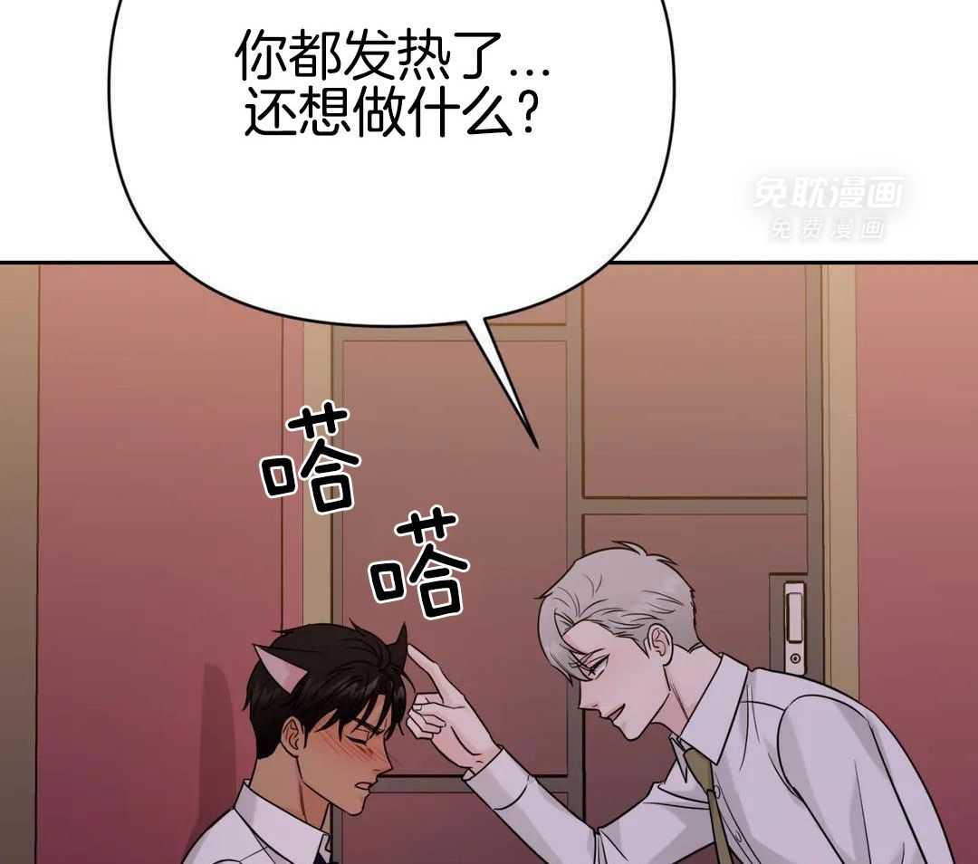 猫猫上司认定我（共2季） 第54话 第14页