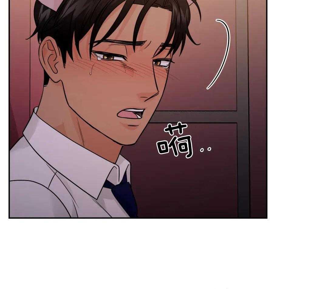 猫猫上司认定我（共2季） 第54话 第19页