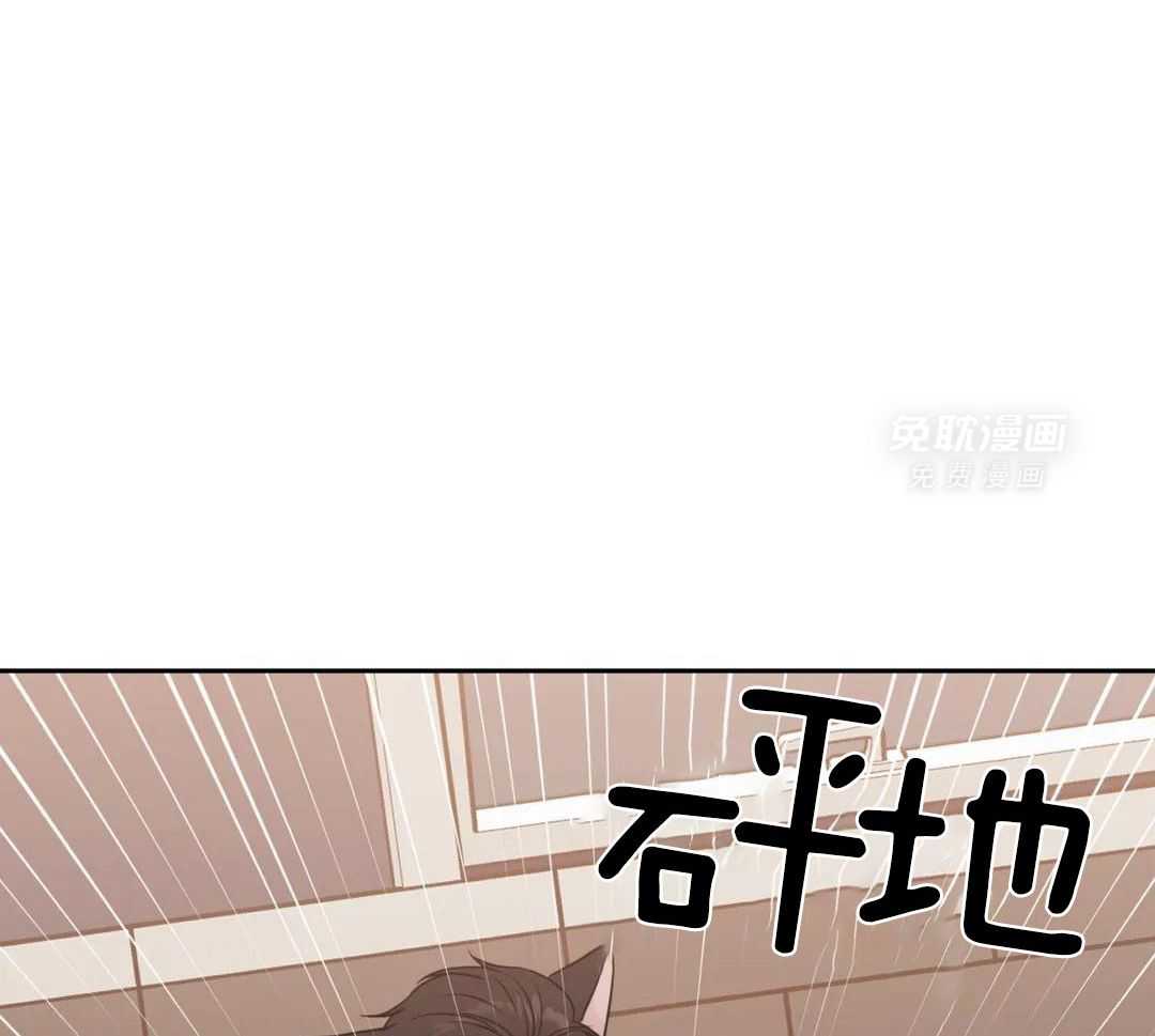 猫猫上司认定我（共2季） 第54话 第28页