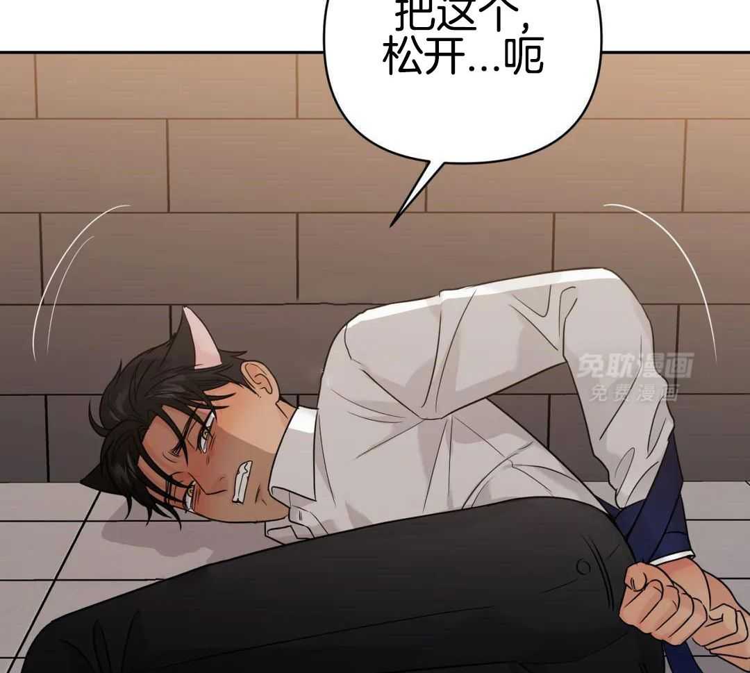 猫猫上司认定我（共2季） 第54话 第34页