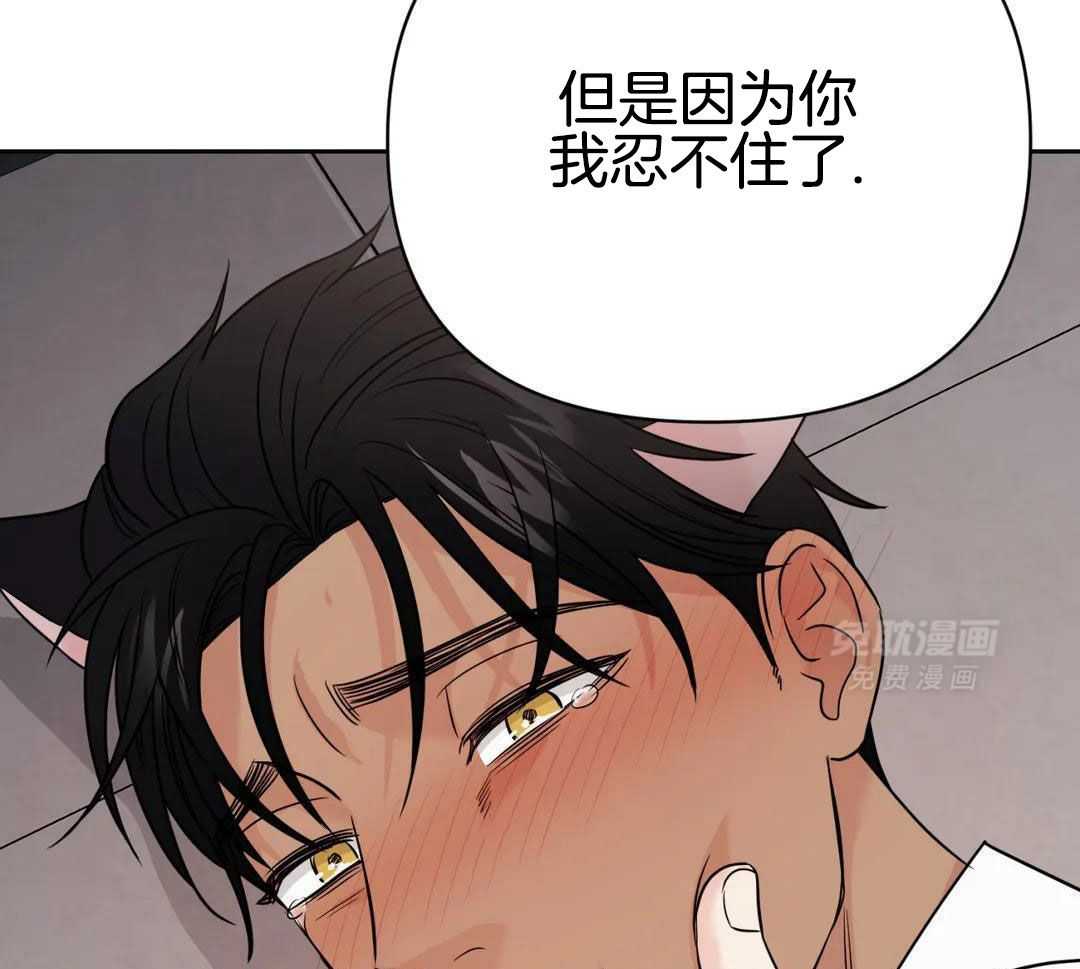 猫猫上司认定我（共2季） 第54话 第38页