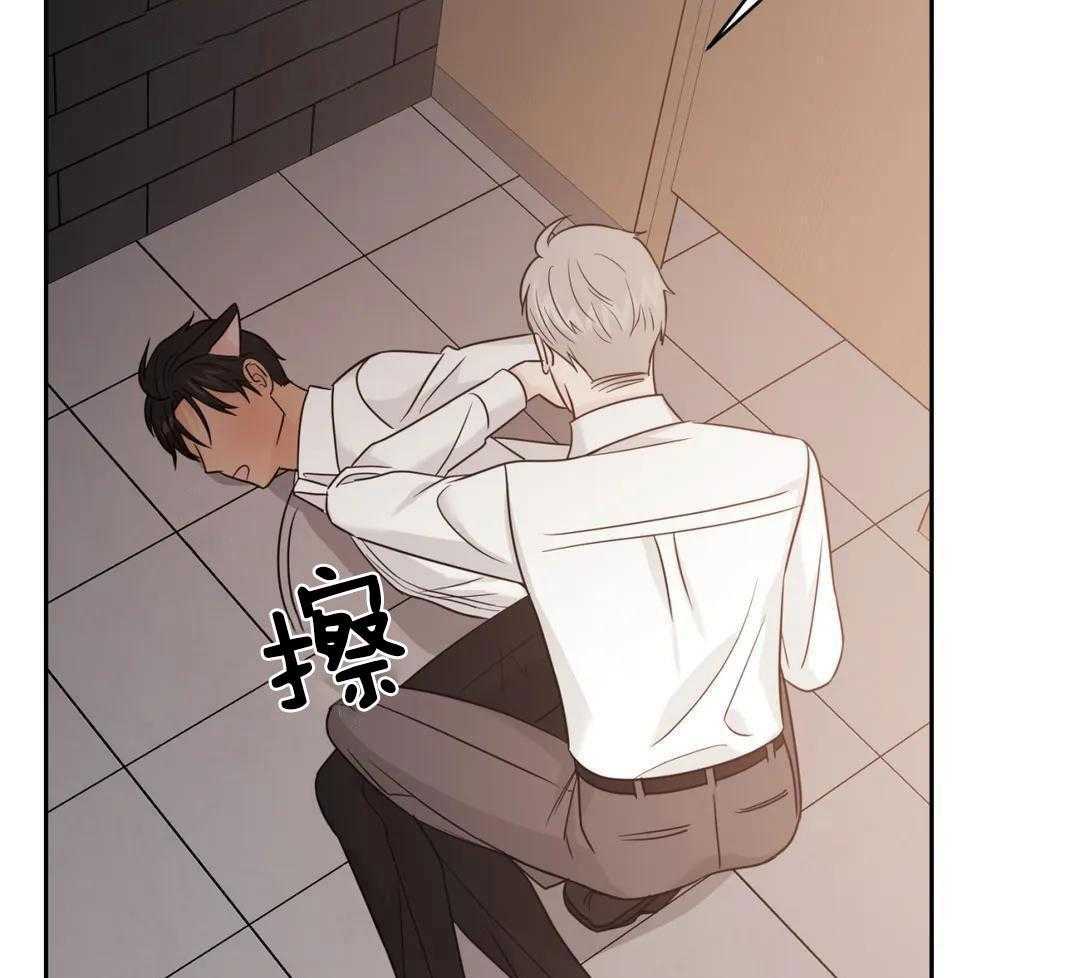 猫猫上司认定我（共2季） 第55话 第8页