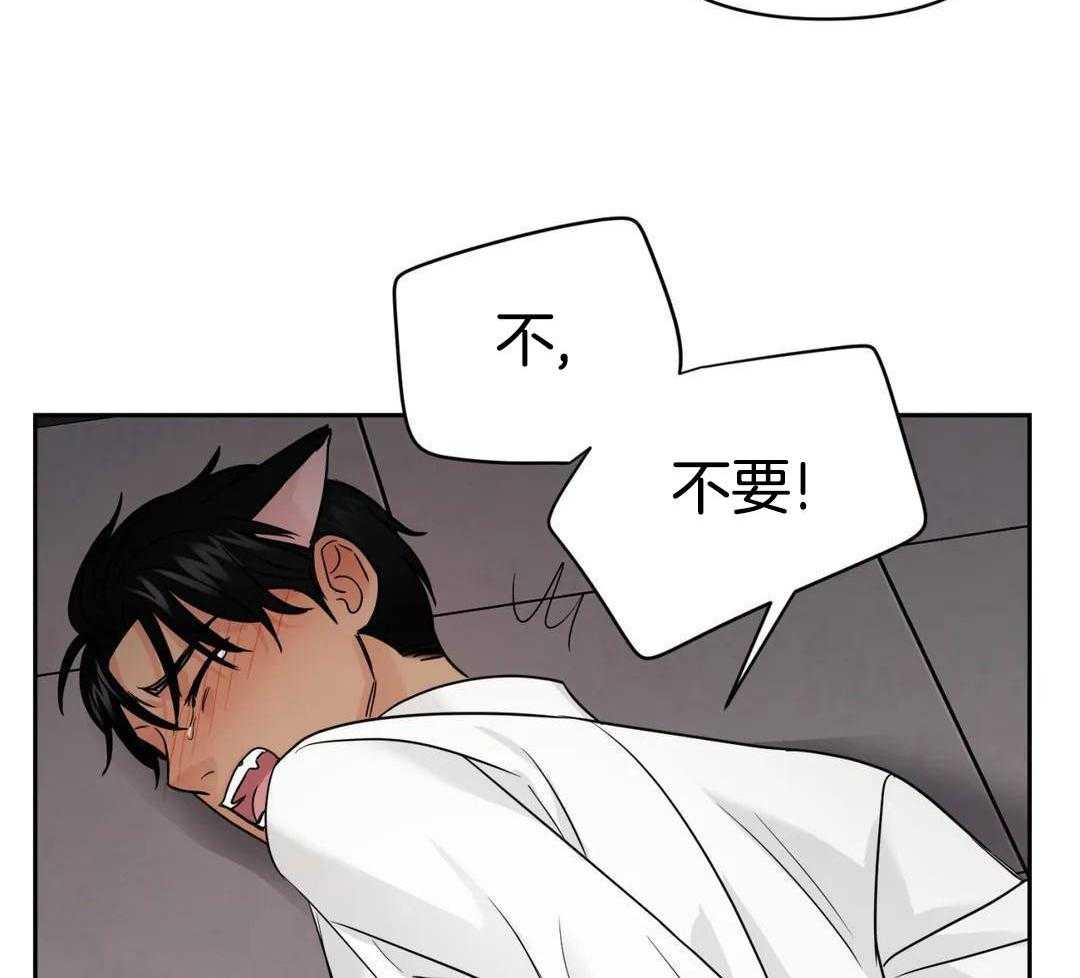 猫猫上司认定我（共2季） 第55话 第11页