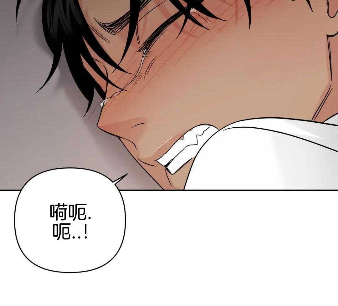 猫猫上司认定我（共2季） 第55话 第14页