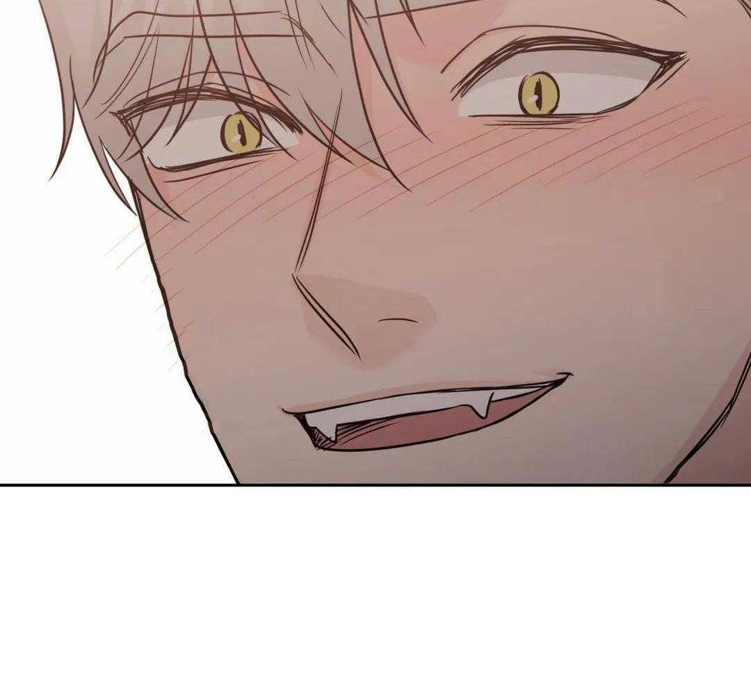 猫猫上司认定我（共2季） 第55话 第19页