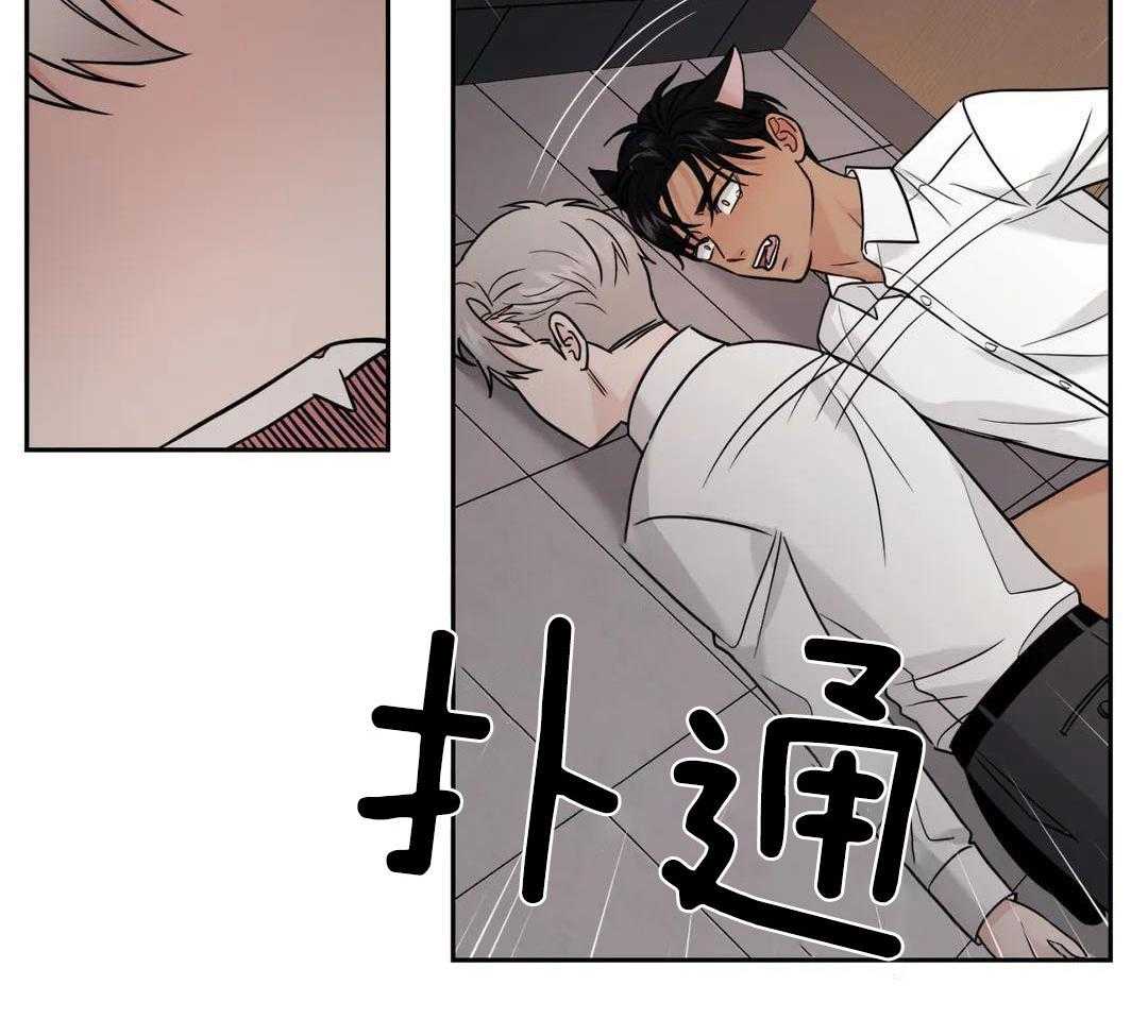 猫猫上司认定我（共2季） 第55话 第28页