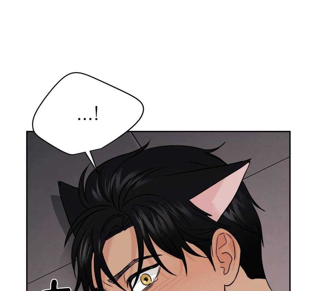 猫猫上司认定我（共2季） 第55话 第29页