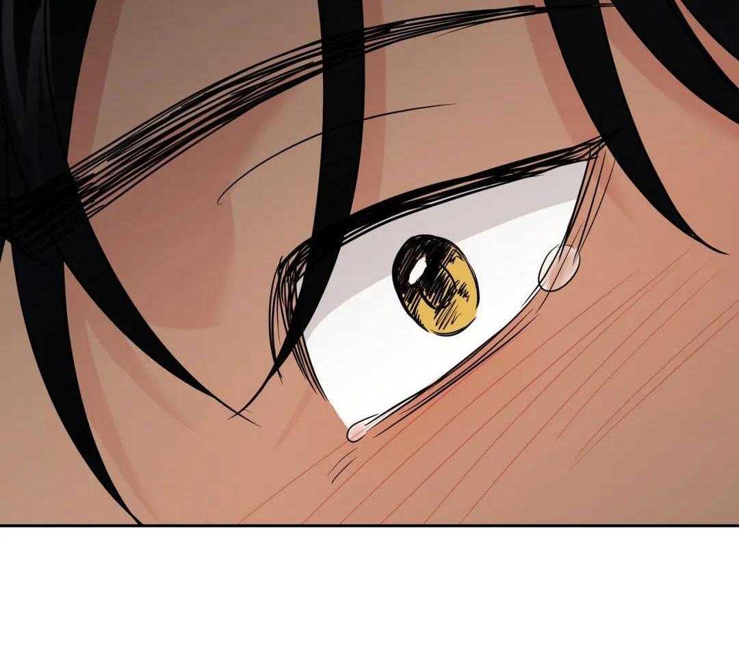 猫猫上司认定我（共2季） 第55话 第31页