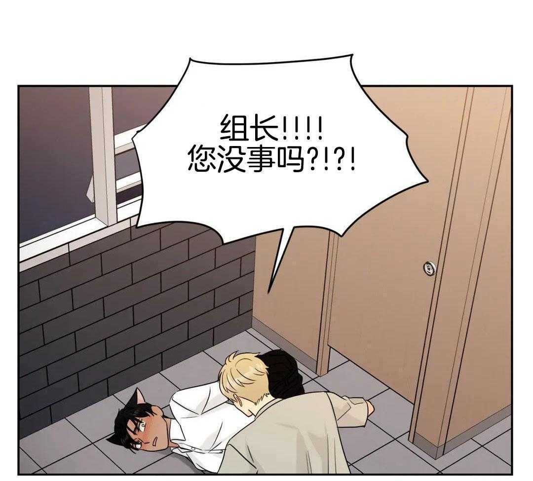 猫猫上司认定我（共2季） 第55话 第35页