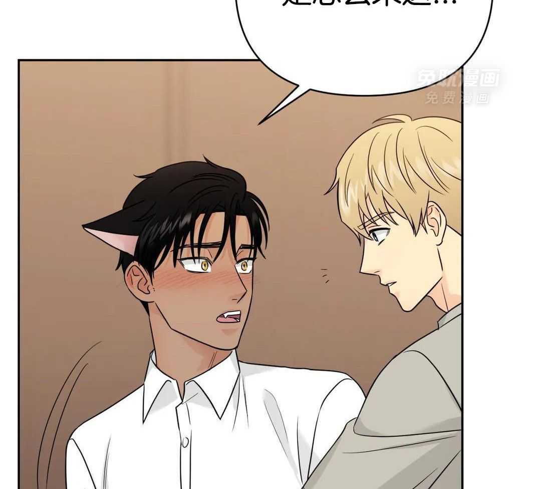 猫猫上司认定我（共2季） 第55话 第37页