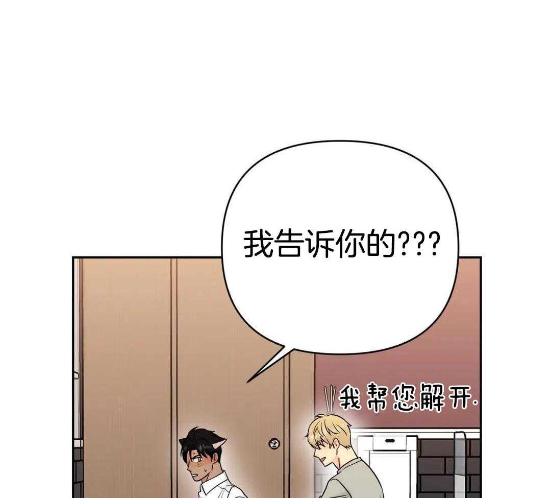 猫猫上司认定我（共2季） 第55话 第40页