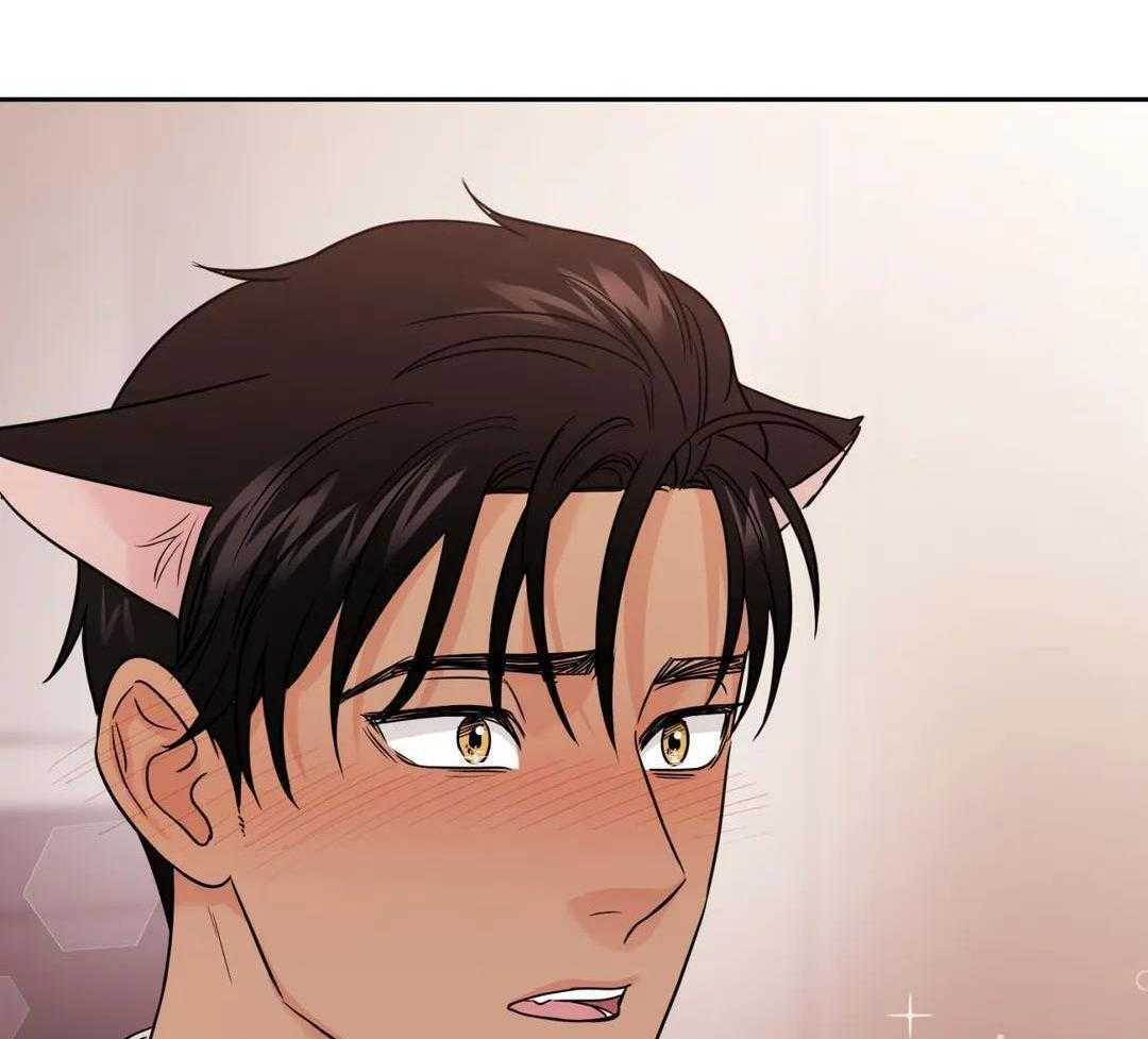 猫猫上司认定我（共2季） 第56话 第1页