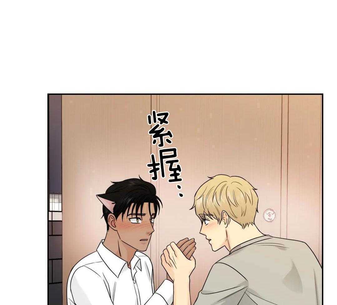 猫猫上司认定我（共2季） 第56话 第5页