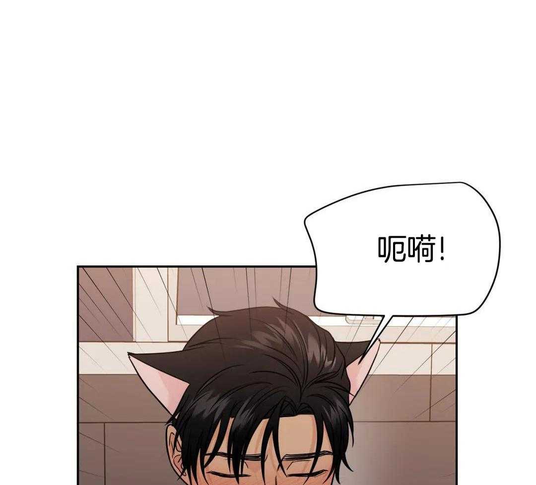 猫猫上司认定我（共2季） 第56话 第11页