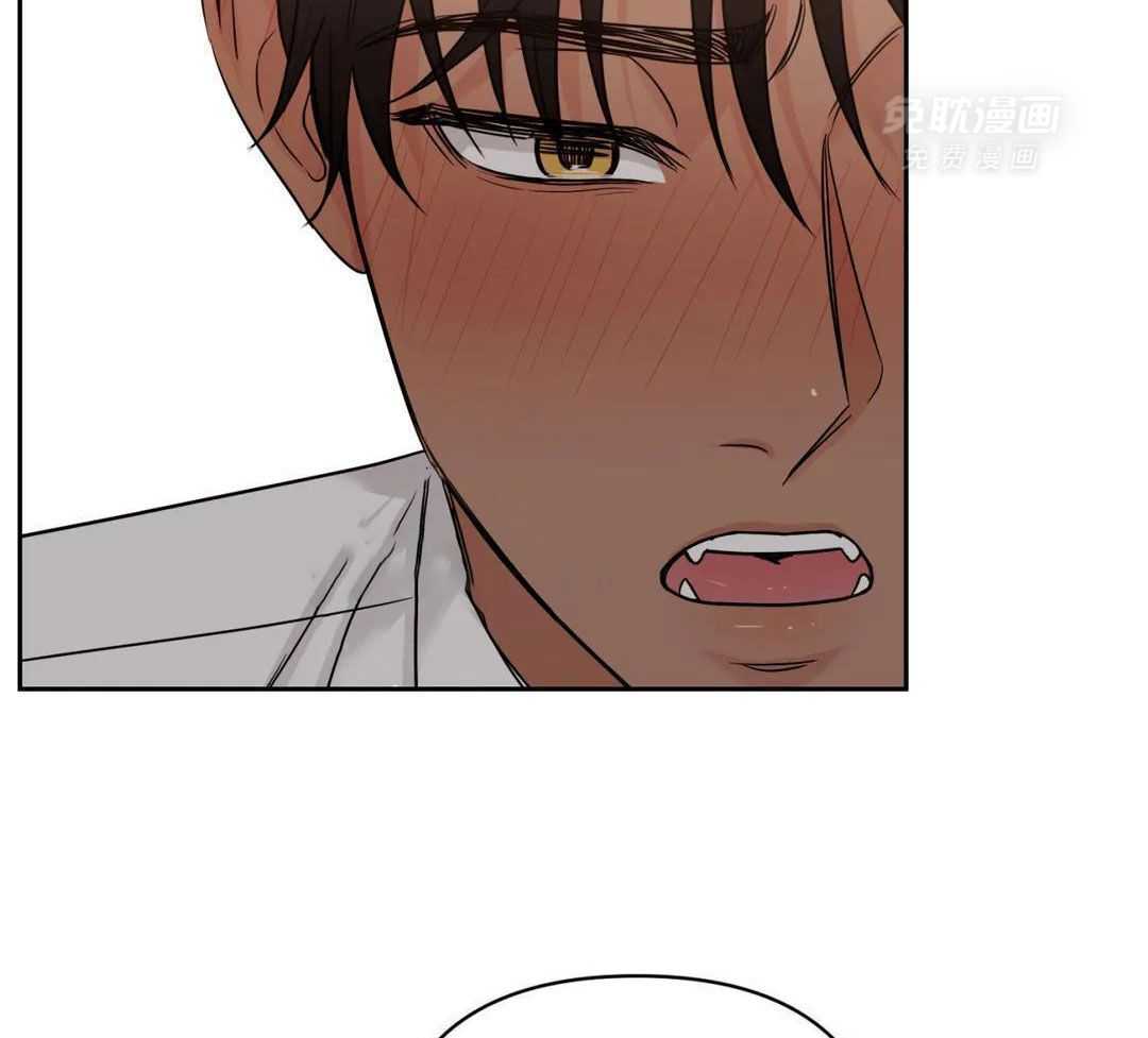 猫猫上司认定我（共2季） 第56话 第16页