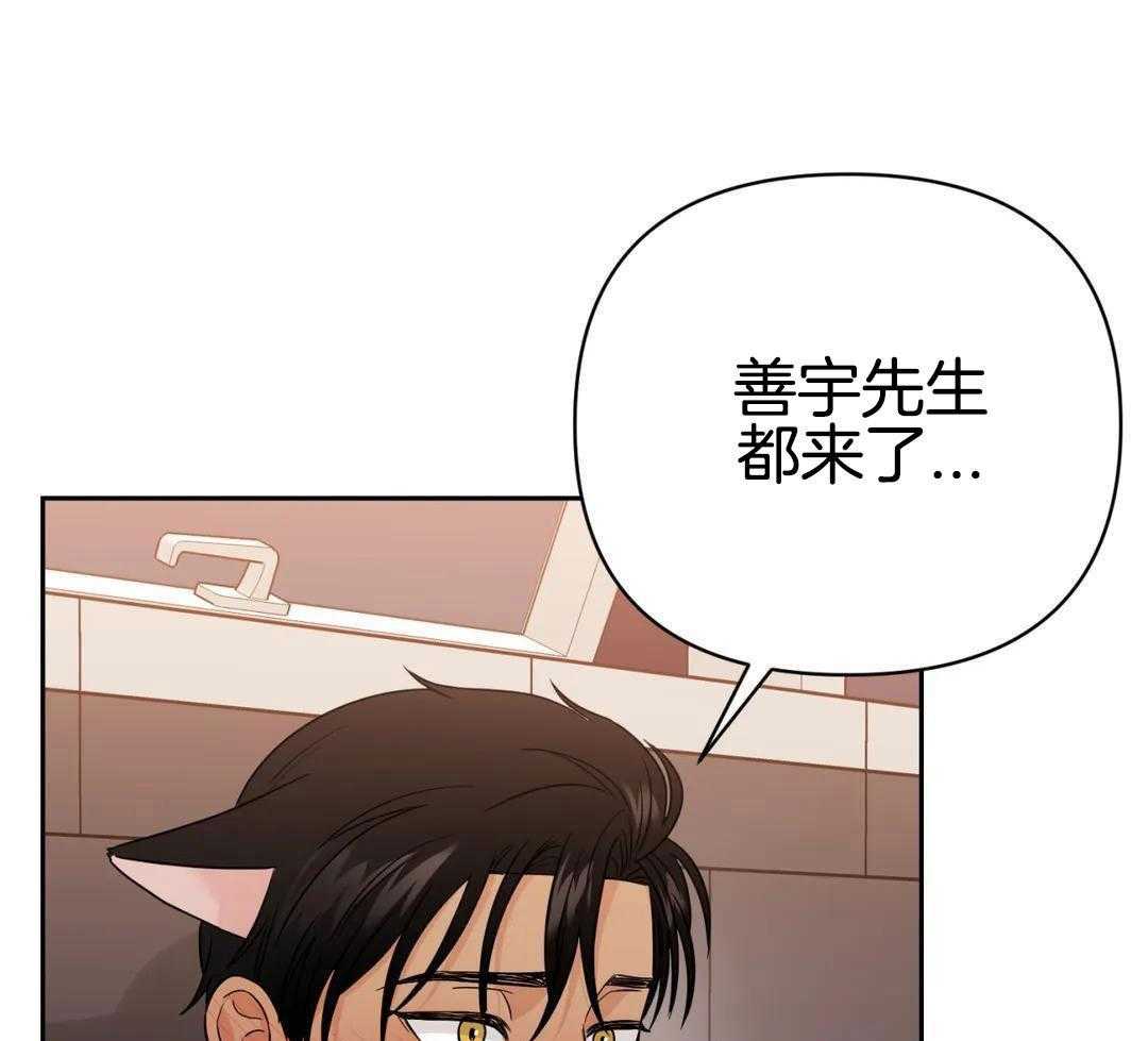 猫猫上司认定我（共2季） 第56话 第27页