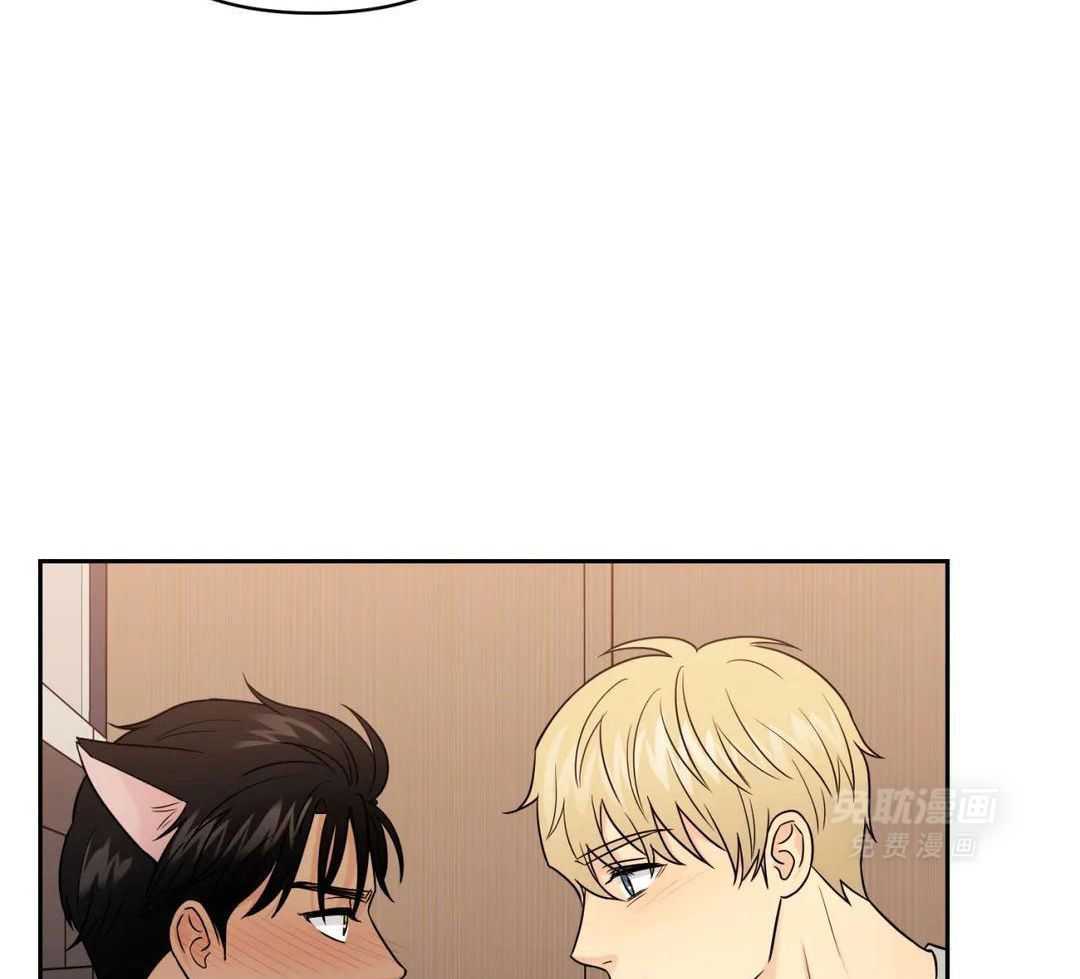 猫猫上司认定我（共2季） 第56话 第30页