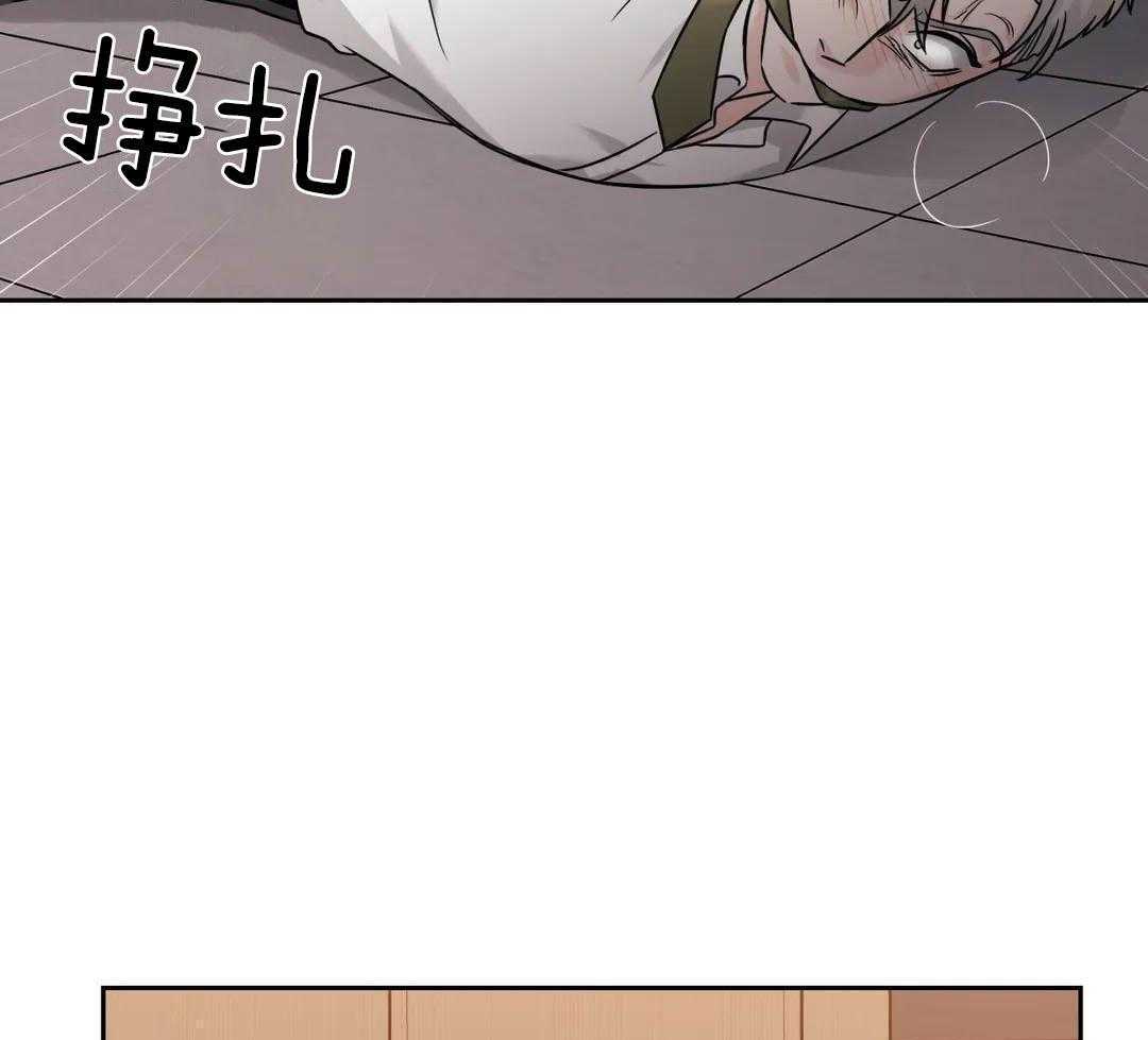 猫猫上司认定我（共2季） 第56话 第43页