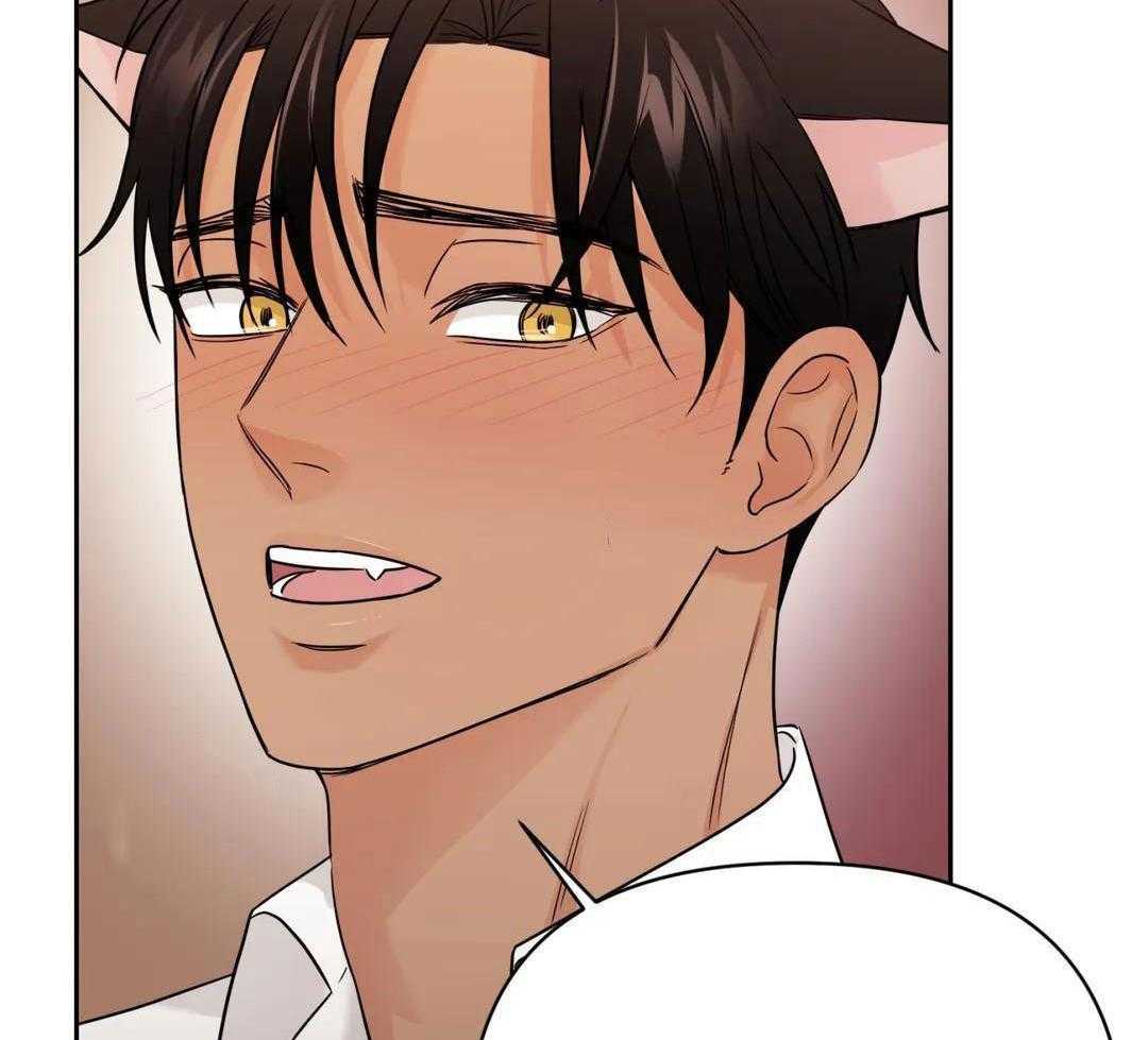 猫猫上司认定我（共2季） 第56话 第48页