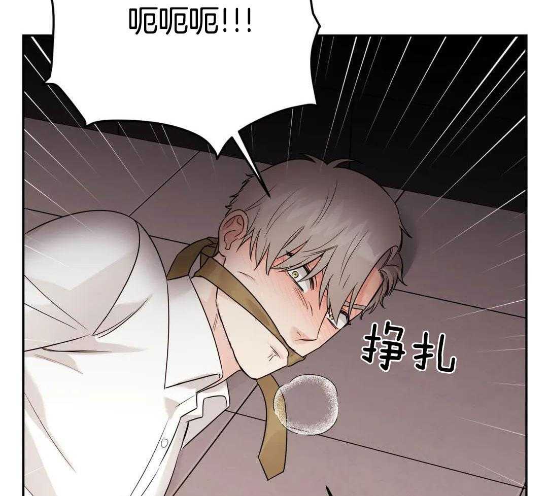 猫猫上司认定我（共2季） 第57话 第20页