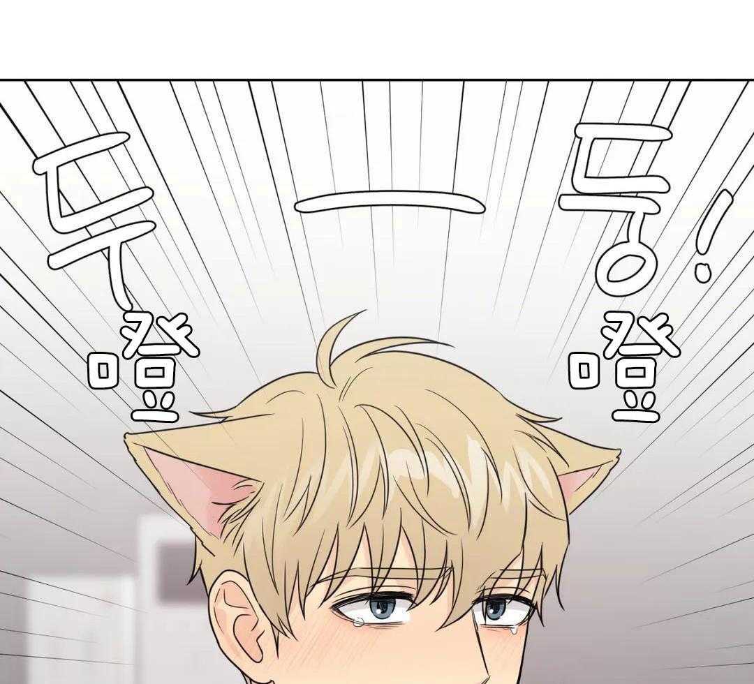 猫猫上司认定我（共2季） 第59话 第15页