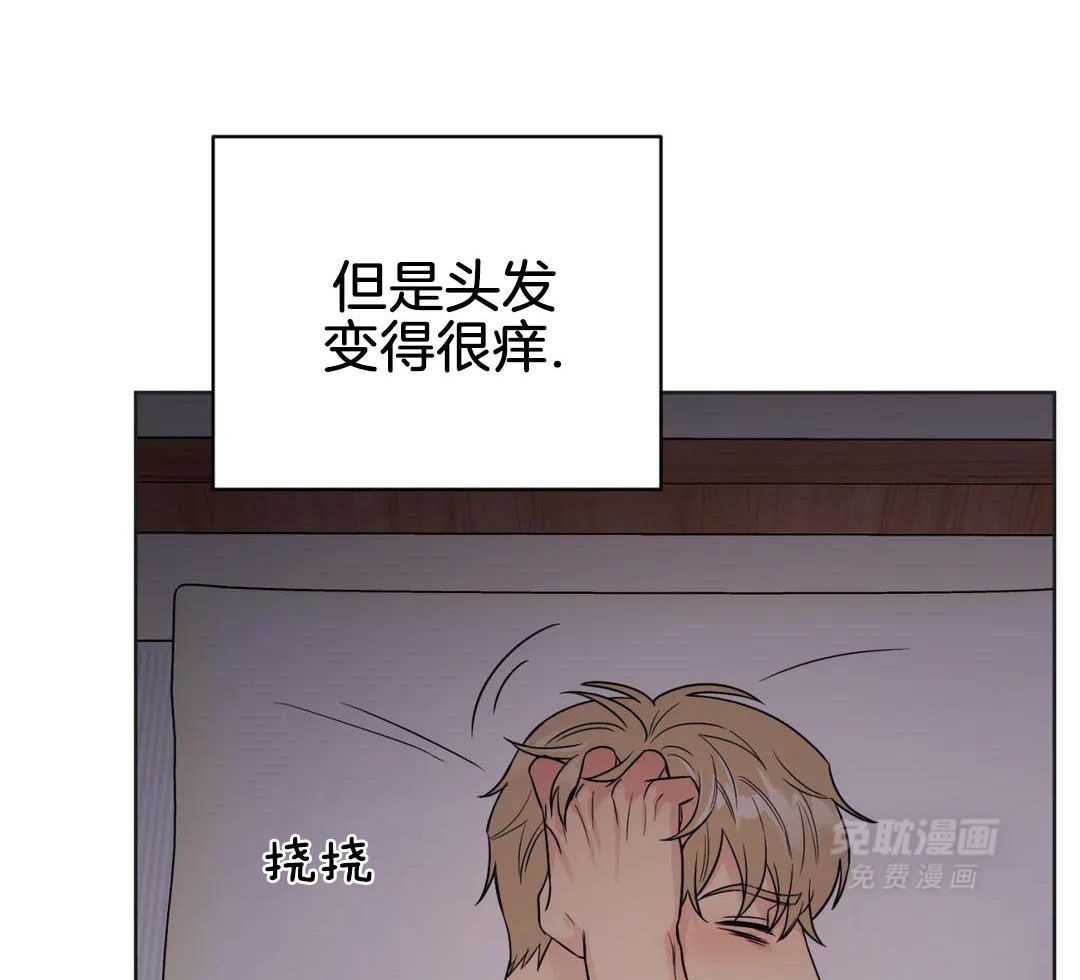 猫猫上司认定我（共2季） 第59话 第28页