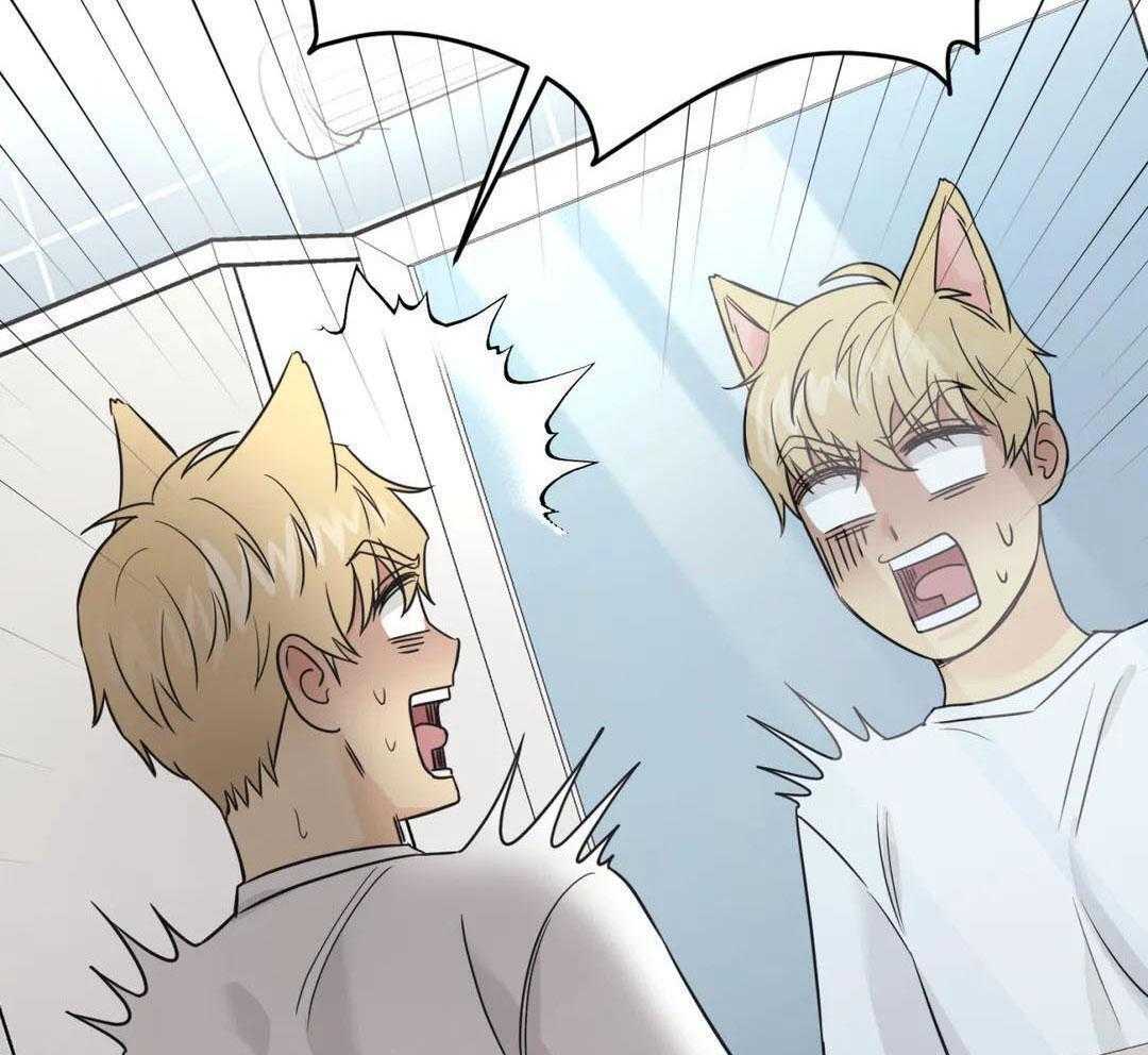 猫猫上司认定我（共2季） 第59话 第37页