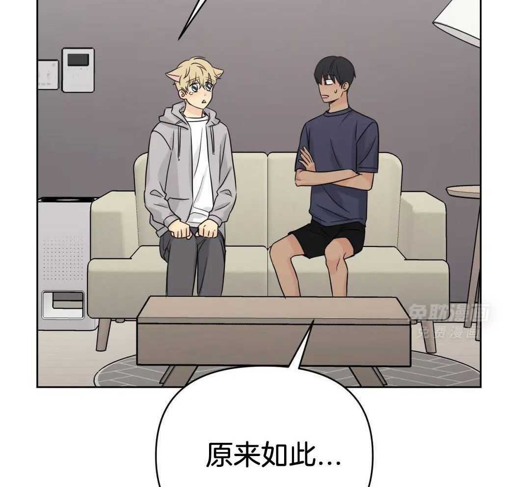 猫猫上司认定我（共2季） 第59话 第40页