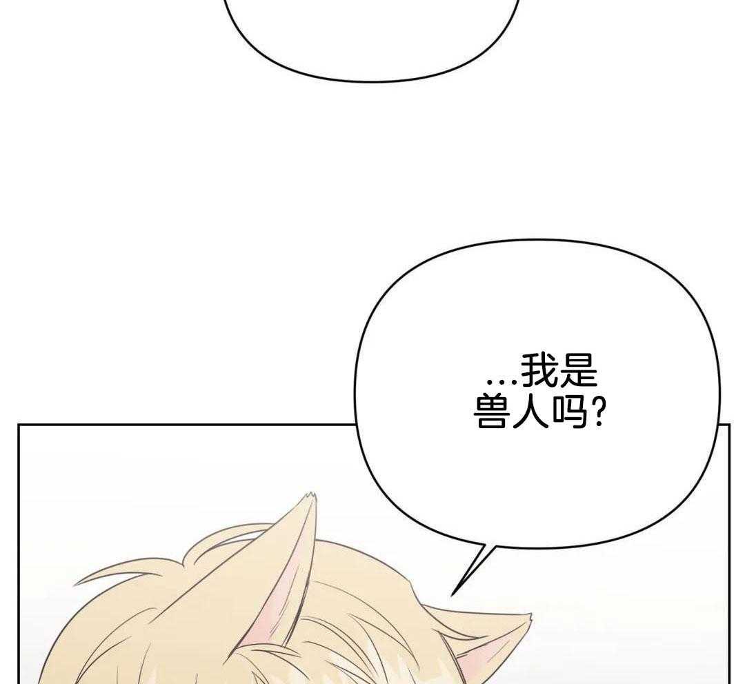 猫猫上司认定我（共2季） 第59话 第41页