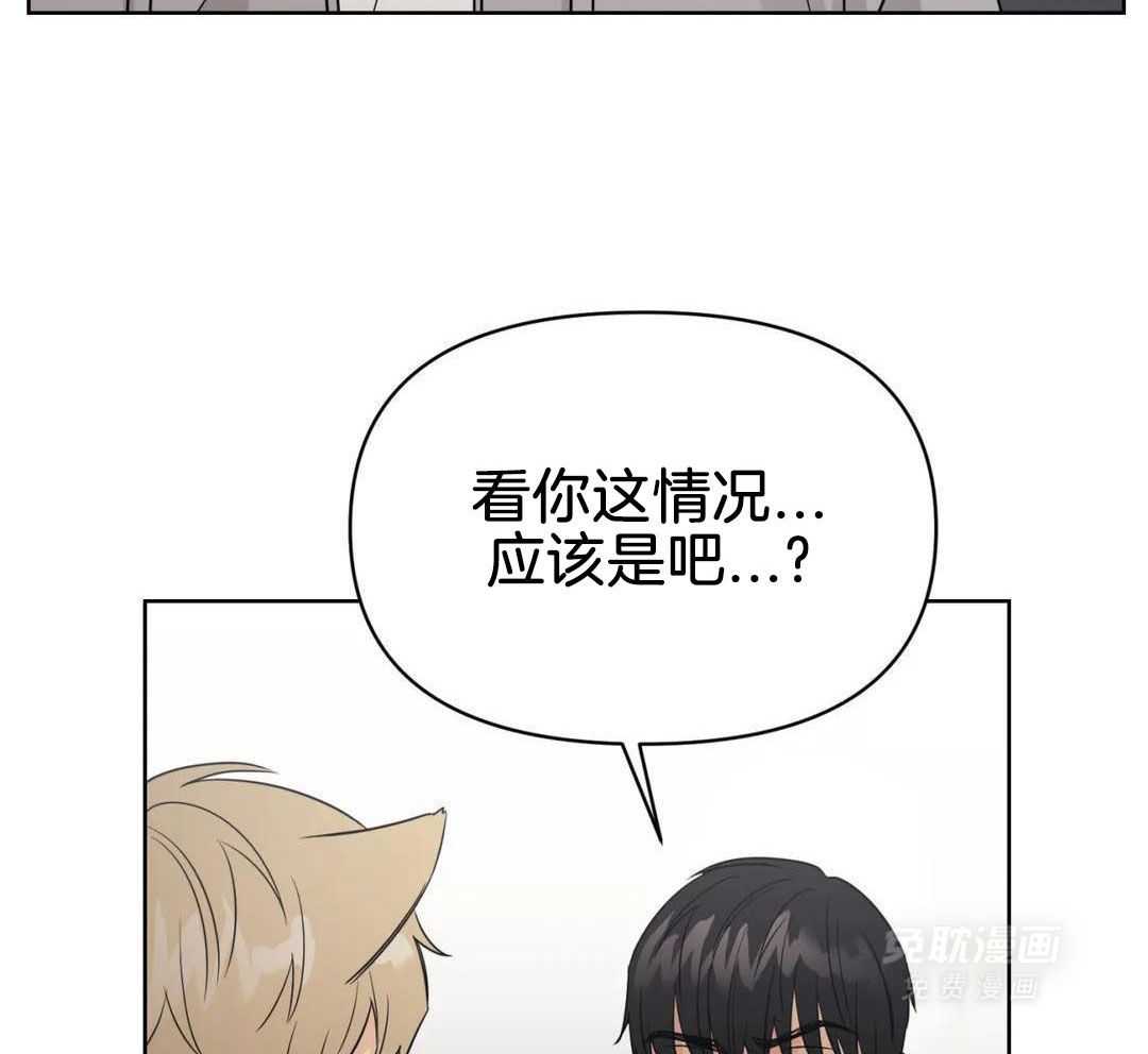 猫猫上司认定我（共2季） 第59话 第43页