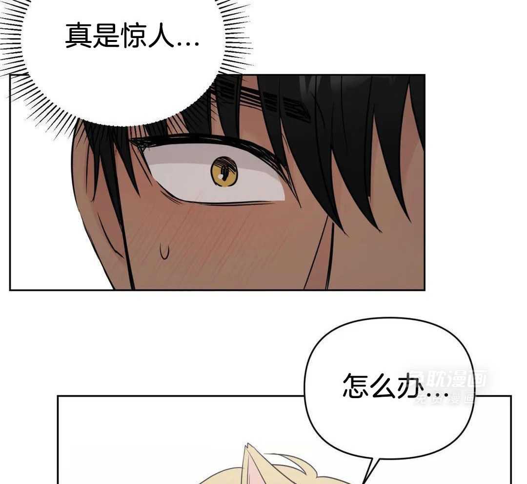 猫猫上司认定我（共2季） 第59话 第45页