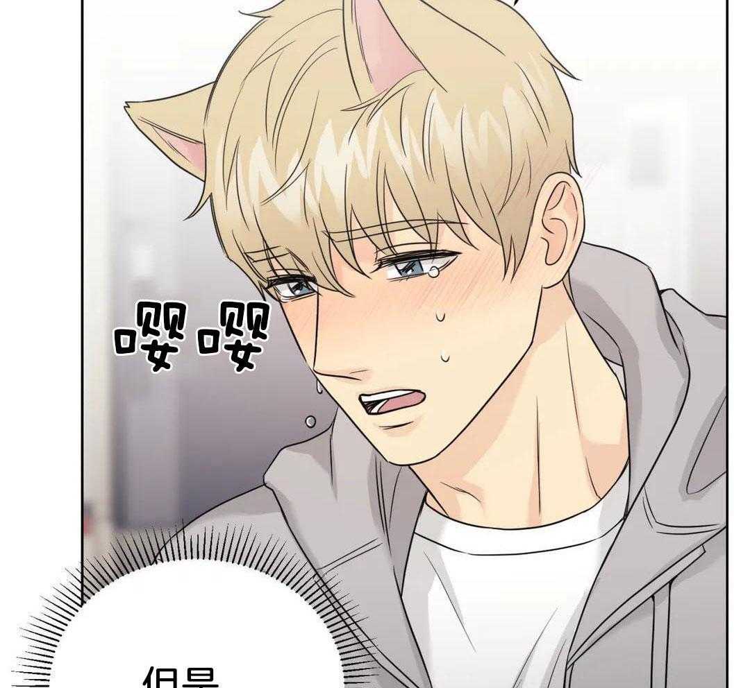 猫猫上司认定我（共2季） 第59话 第46页