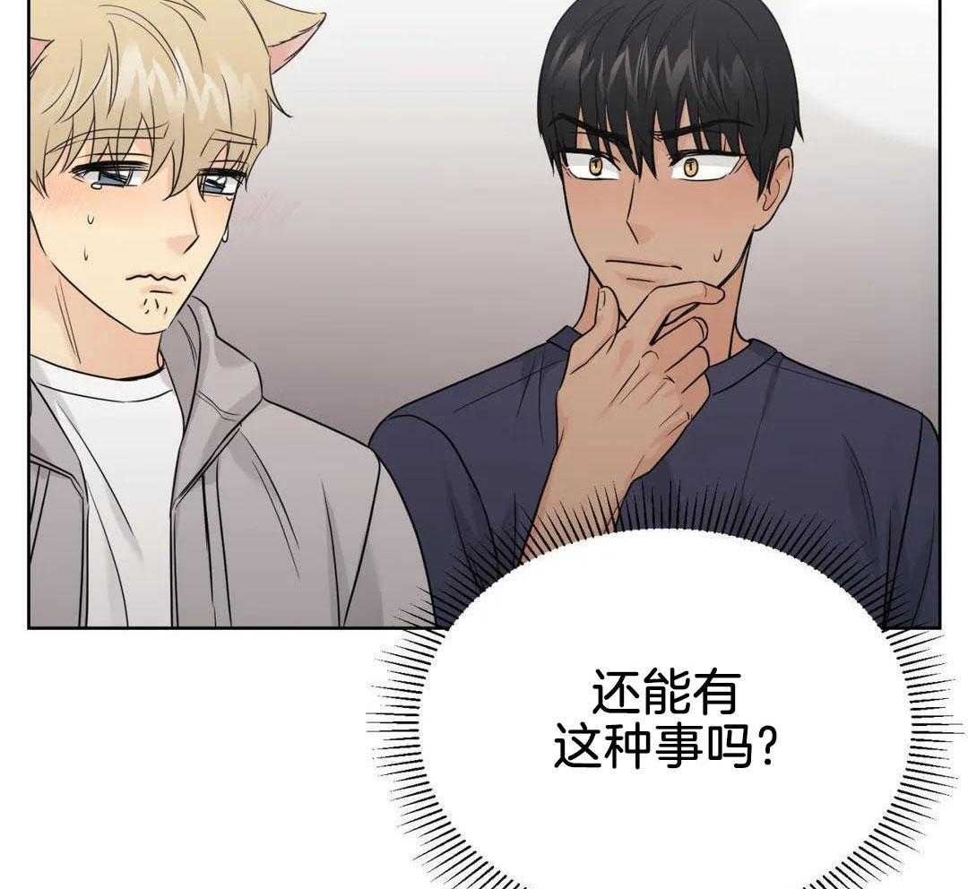 猫猫上司认定我（共2季） 第59话 第52页