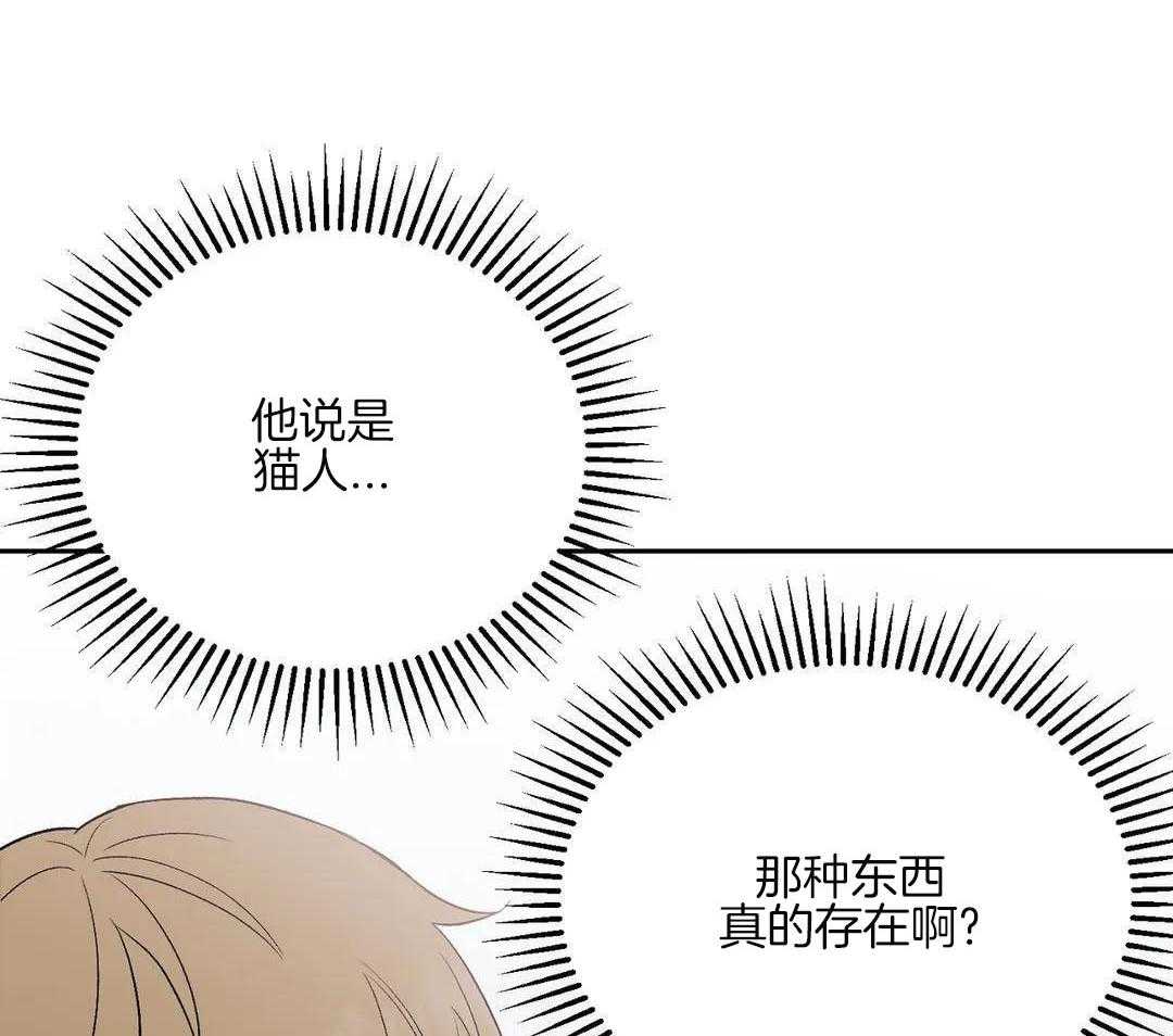 猫猫上司认定我（共2季） 第6话 第2页