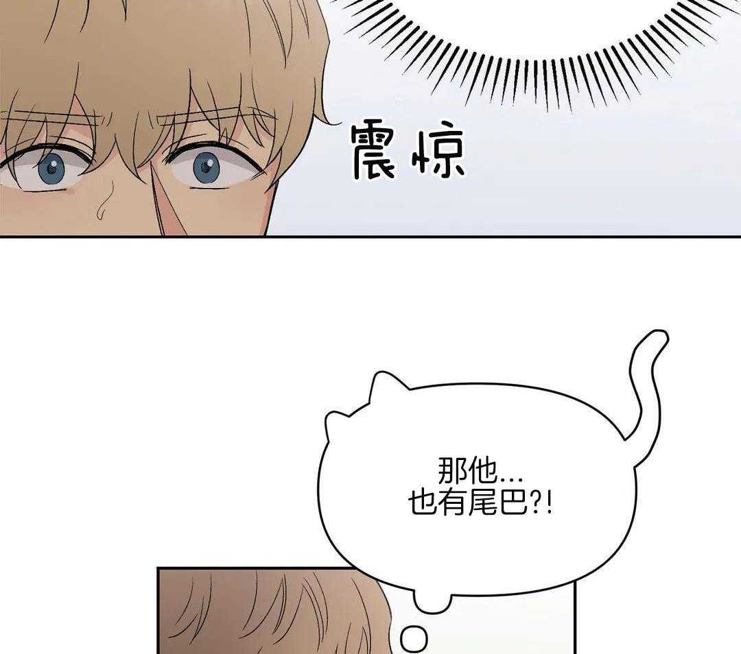 猫猫上司认定我（共2季） 第6话 第3页